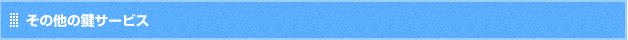 その他の鍵サービス